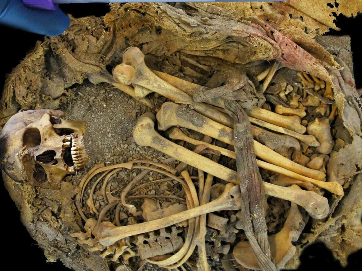 Featured image for Ancient Mesoamerican Mummy Unveils 1,000-Year-Old Microbiome