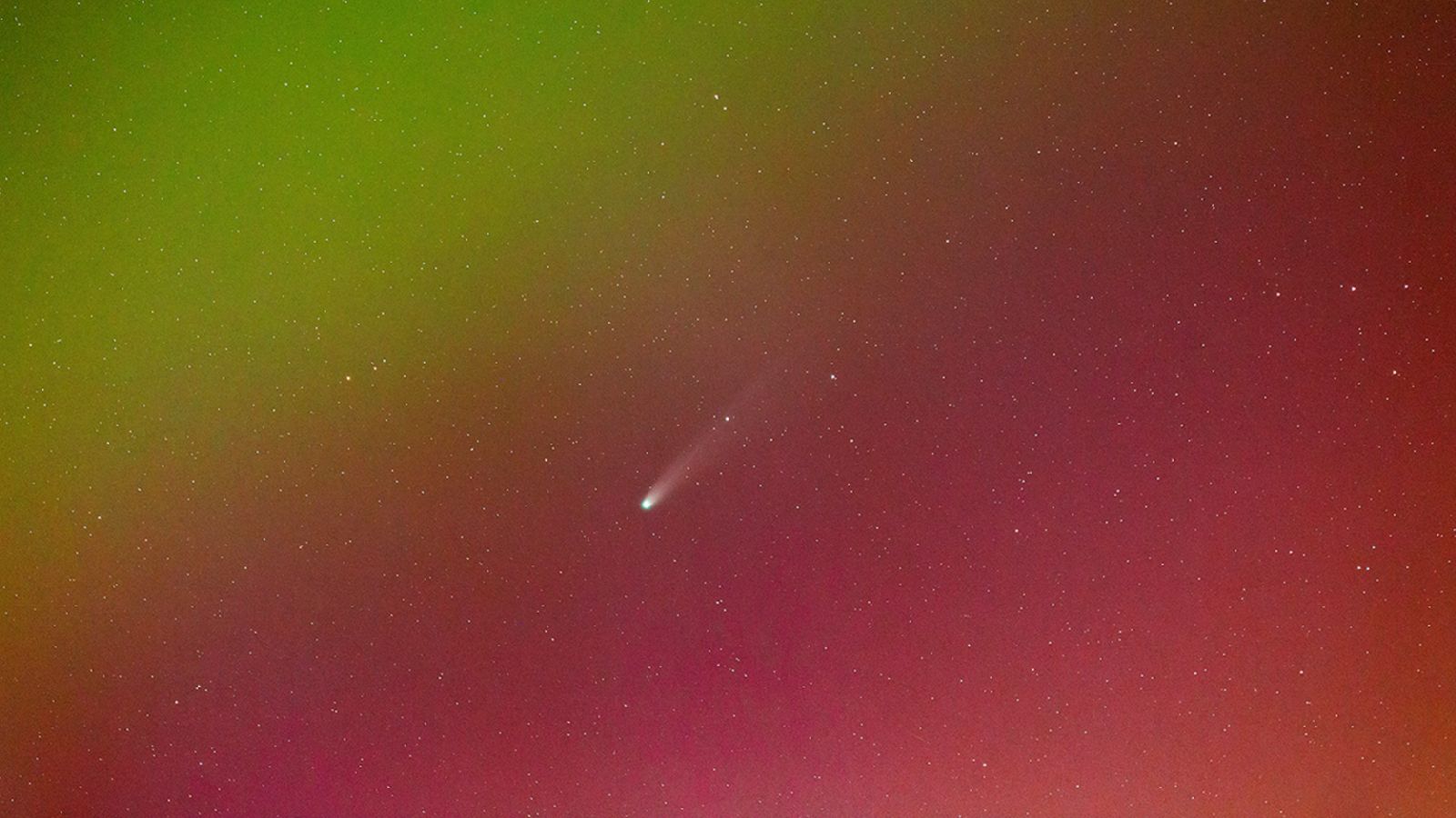 Featured image for How to View the Rare Green Comet Lemmon This October
