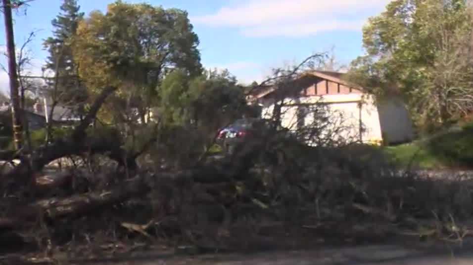 Featured image for Tragic Accident: Tree Fatally Strikes 41-Year-Old Carmichael Man
