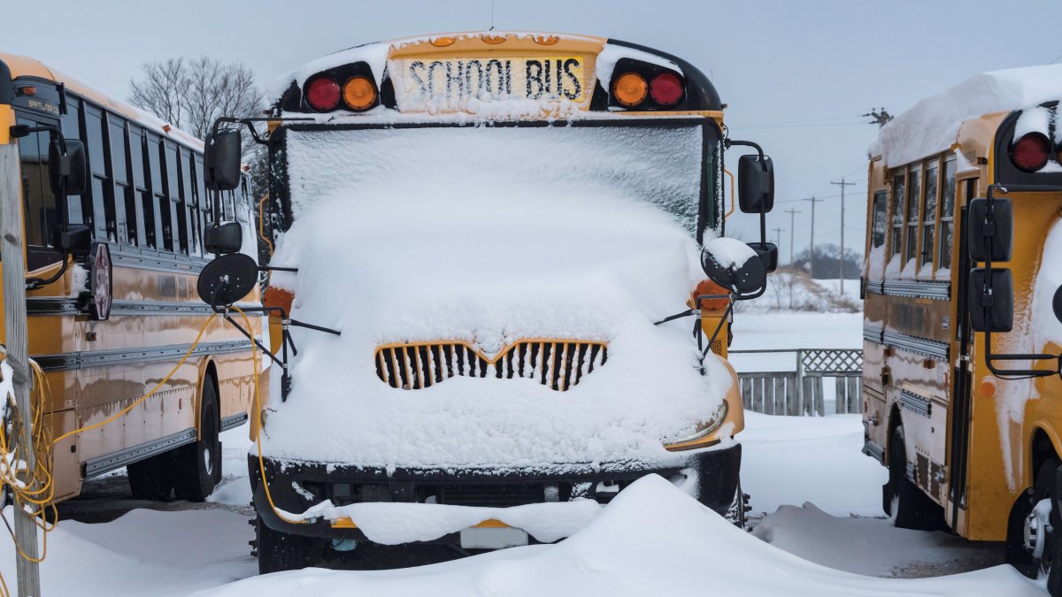 Featured image for "East Coast Winter Storm: School Closures and Forecast Updates"