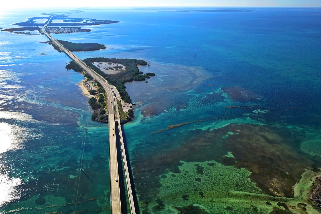 Florida Keys: Multiple Aquatic Attacks Raise Concerns