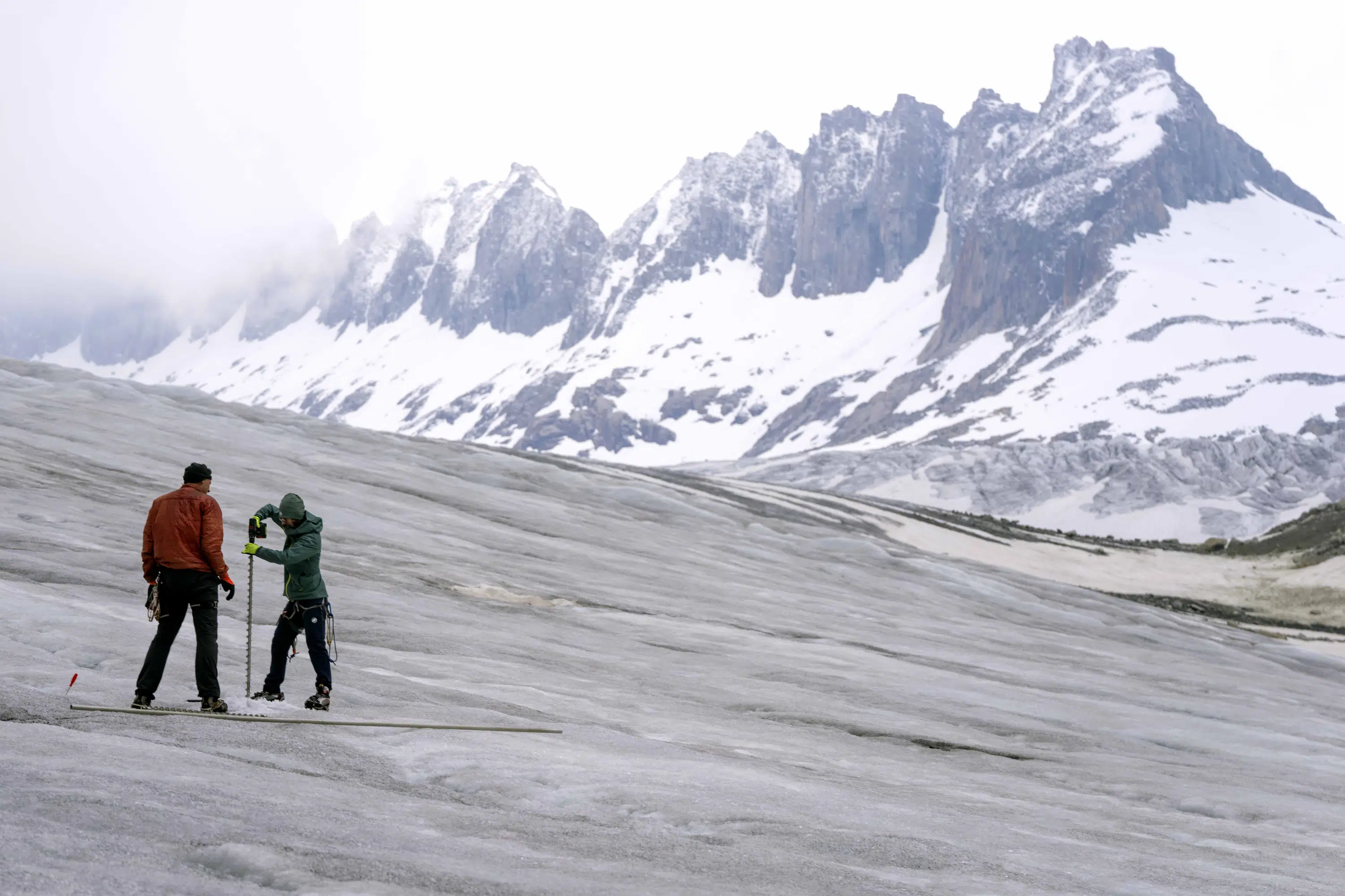 Swiss Referendum Shows Strong Support for Climate Action and Global Tax Reform.