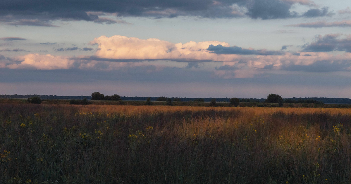 "Governor Pritzker Strengthens Native American Protections in Illinois with New Laws"