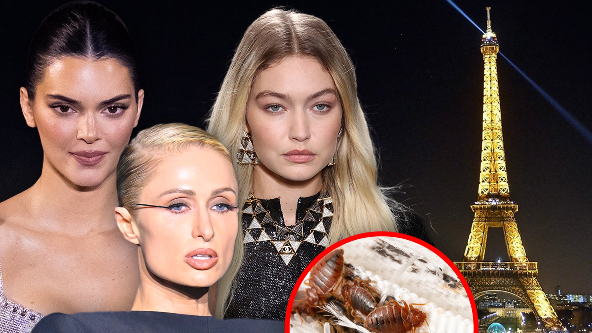 "Bed Bug Alert: Paris Fashion Week Celebs Advised to Prevent Infestations"