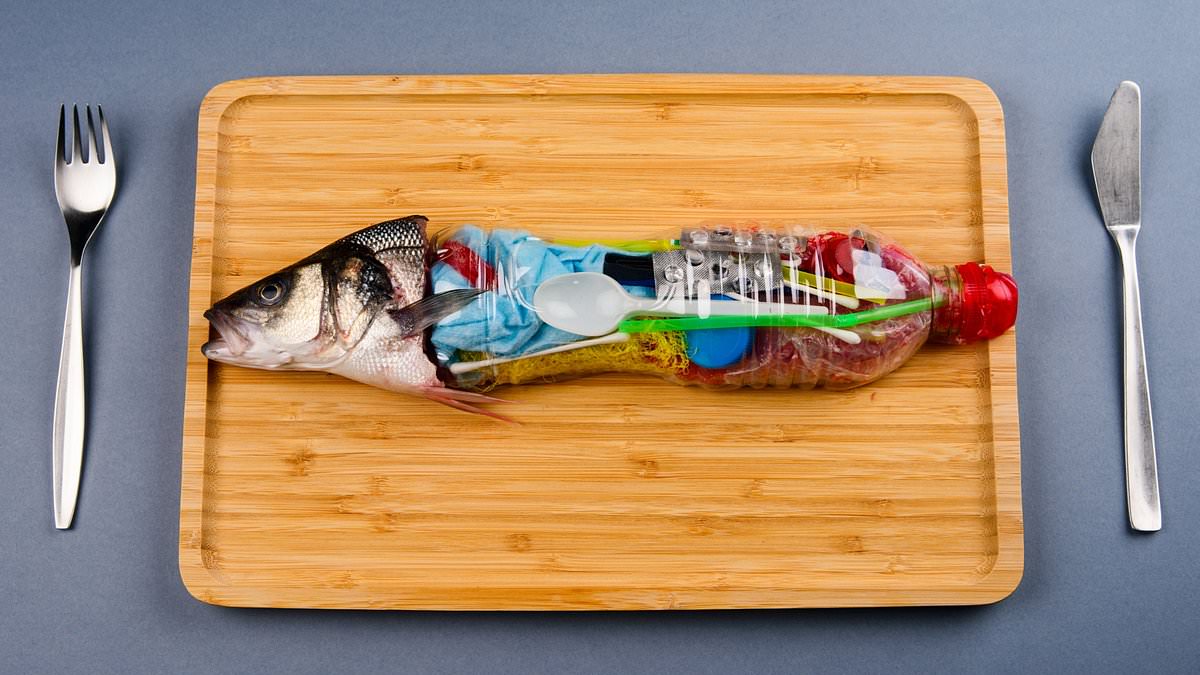 Featured image for "Microplastics: A Hidden Threat to Heart, Brain, and Gut Health"