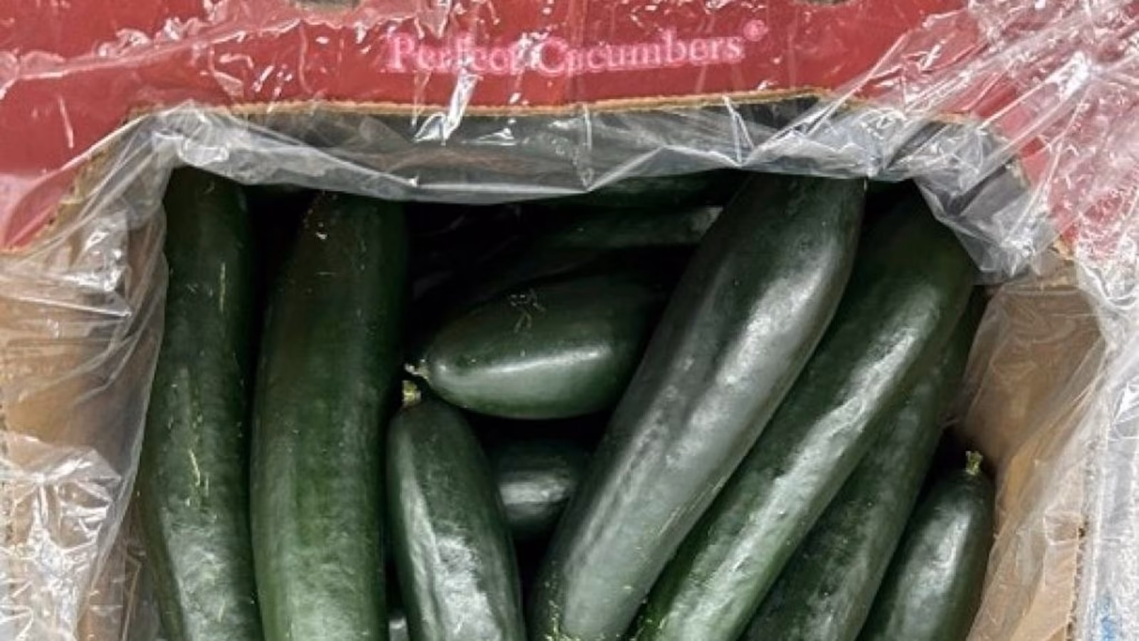 Featured image for Cucumbers and Eggs Recalled Across US and Canada for Salmonella Risk