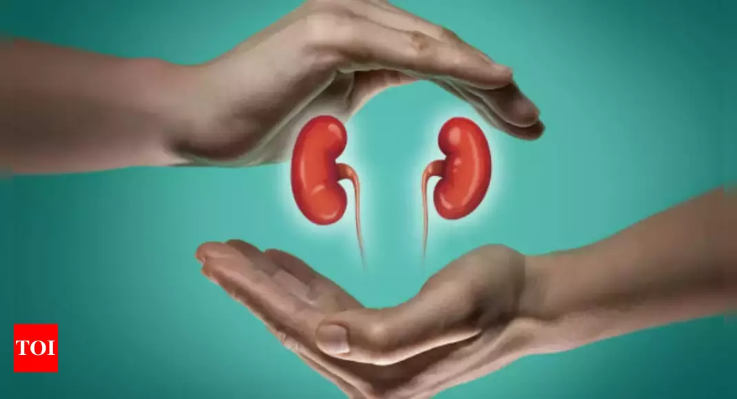 Scientists Successfully Grow Human-Like Kidneys in Pigs and Develop Artificial Kidney