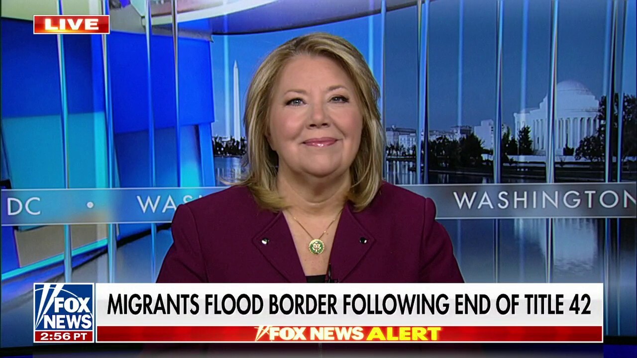Border crisis sparks political division and proposed policy changes.