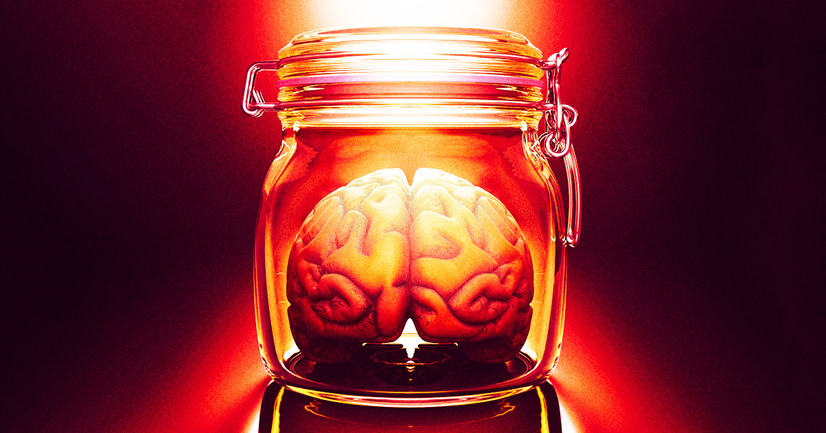 Revolutionary Device Sustains Brain Independently of the Body