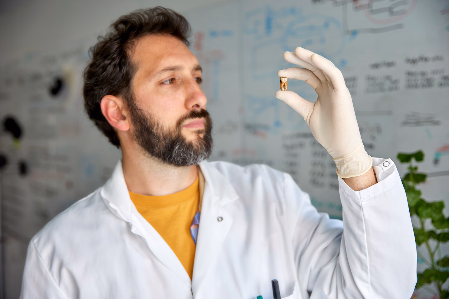 Featured image for DNA analysis uncovers diseases that decimated Napoleon’s army