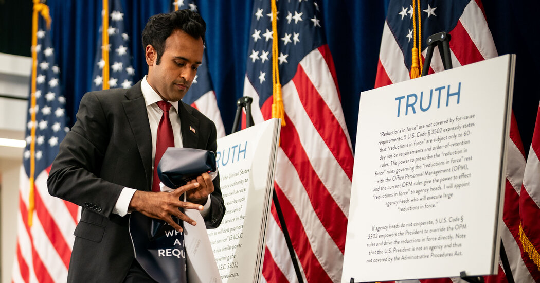 Elon Musk's Ambitious Government Overhaul: A Billionaire's Vision