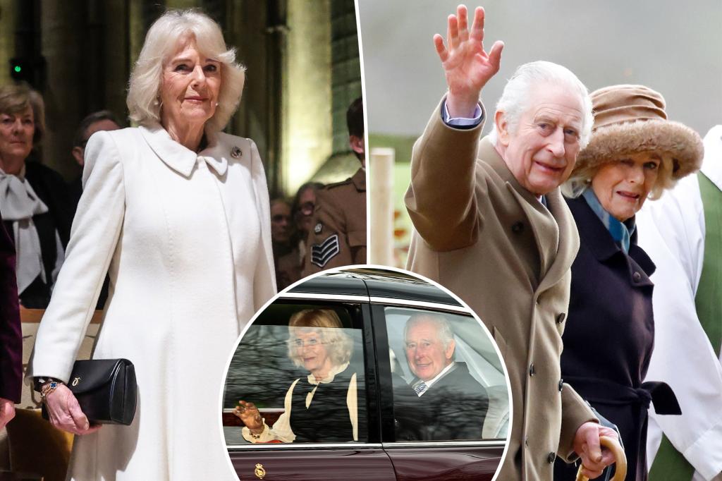 "Royal Succession and Support: King Charles' Battle with Cancer"