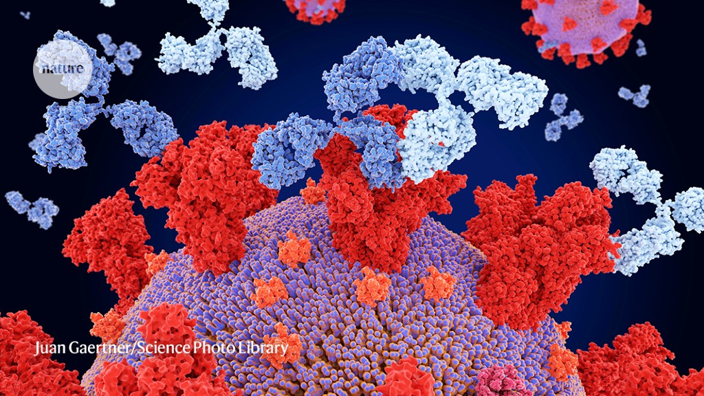 "Generative AI: From Antibodies to Productivity Boosts"