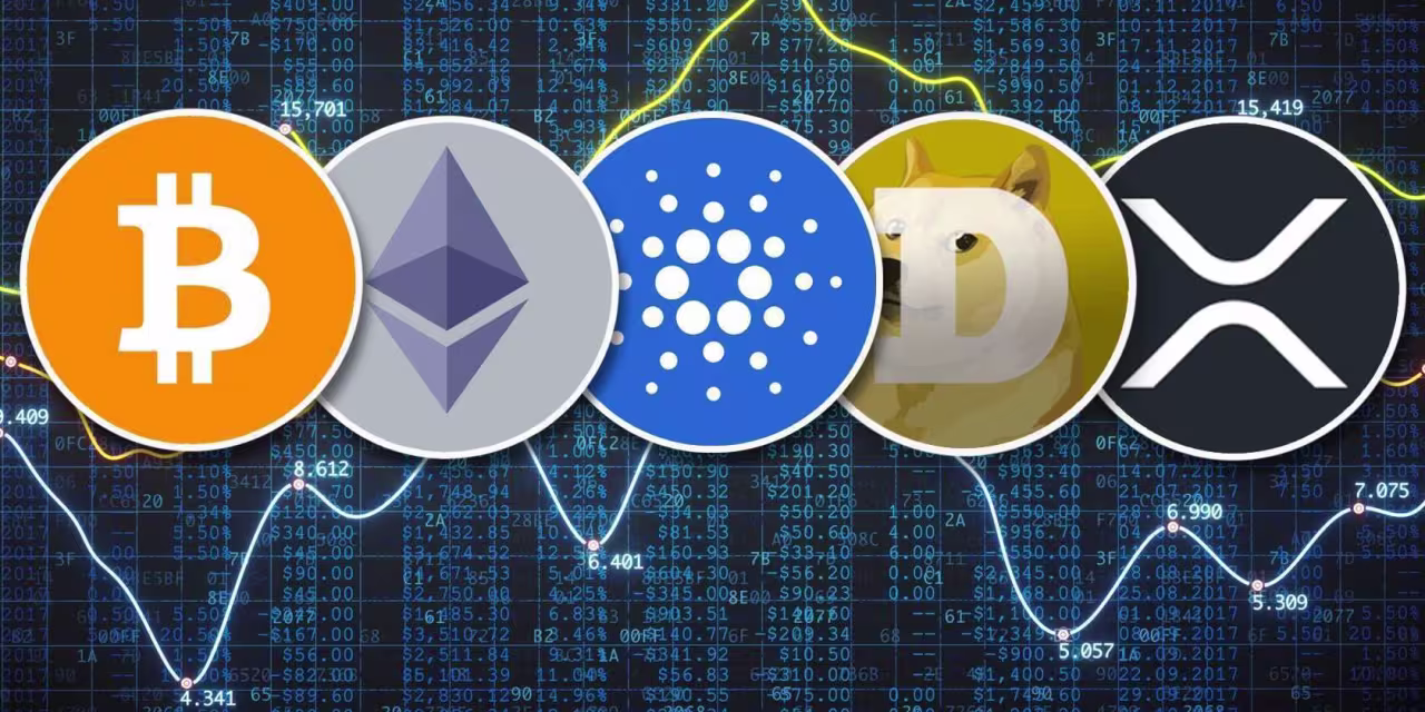 The Future of Memecoins After Elon Musk's Dogecoin Hype