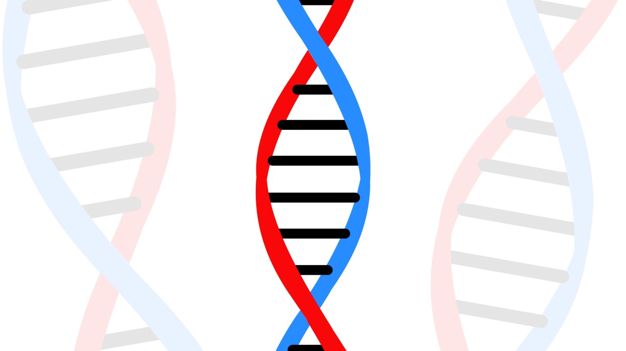 Featured image for "The Science Behind Conjoined Twins: Exploring Their Unique Lives and Challenges"