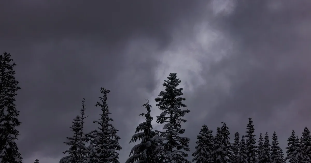 Featured image for Bomb Cyclone Leaves Over 700,000 Without Power in Washington