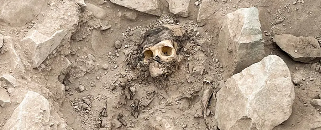 Featured image for 3000-Year-Old Mummy Found Buried Under Garbage and Coca Leaves in Peru
