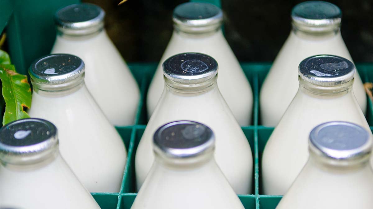 Shiga Toxin-Producing E. Coli Outbreak: Field Notes.