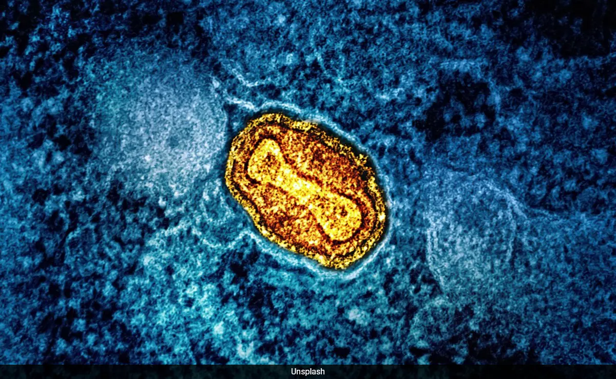 Featured image for Scientists Discover Hundreds of Giant Viruses in Global Oceans