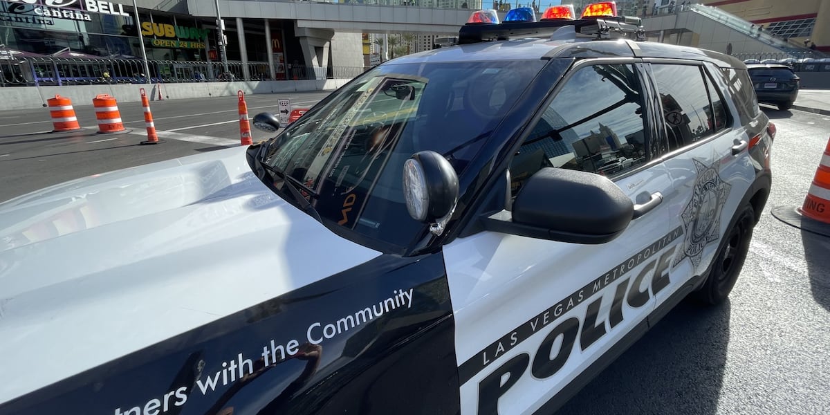 Featured image for "Early Morning Shooting Near the Strip Alarms New Year's Eve Visitors"