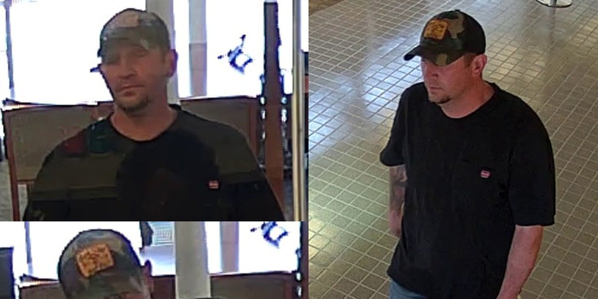 Police and FBI investigate multiple bank robberies in different states.
