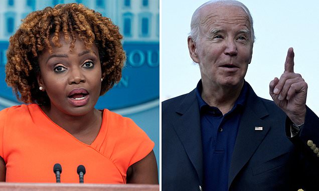 "Biden's Presidency Unveiled: Insights into Frictions, Jokes, and Treatment"
