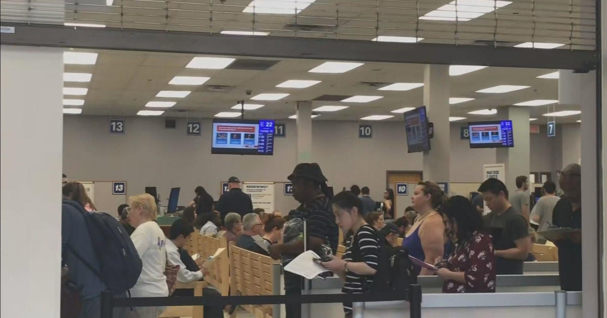 Accessing Driver's Licenses: Undocumented Immigrants Navigate RMV Appointments and New Options