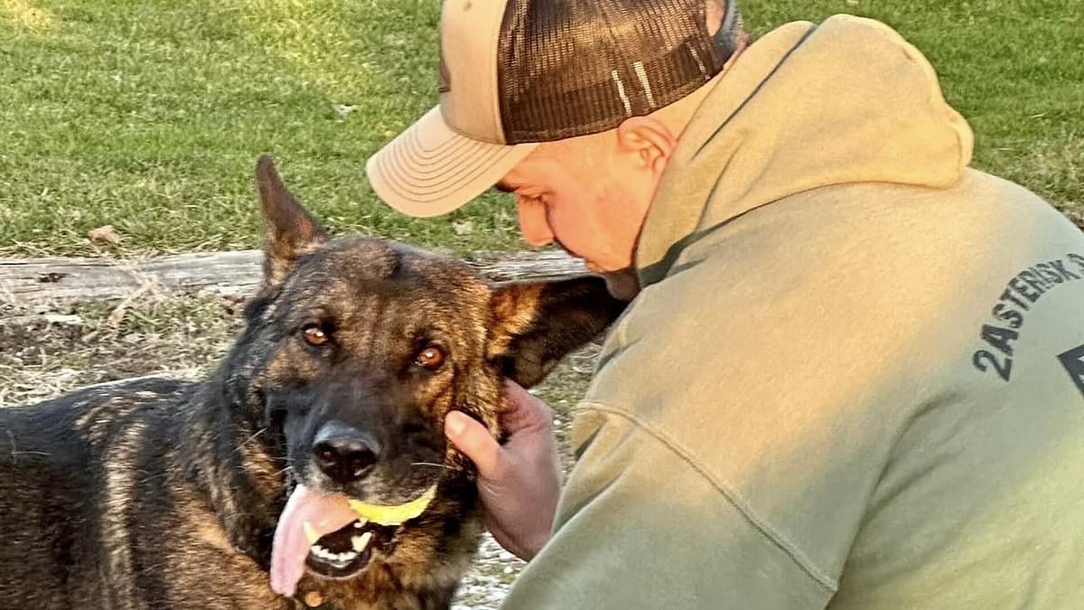 Featured image for Ohio K-9 Igor Reunited with Cop Handler After Ownership Battle