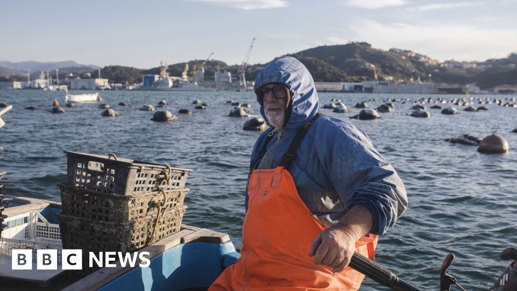 Scientists Alarmed by Recent and Rapid Ocean Warming Due to Climate Change