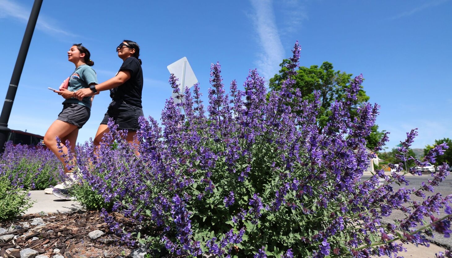 Featured image for Short exercise bouts may protect against Alzheimer's.