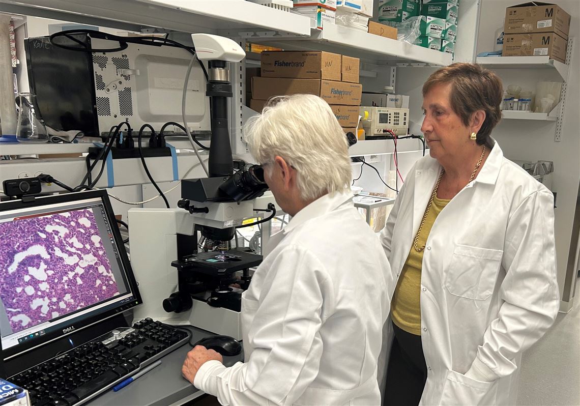 "Pitt Professor's Groundbreaking Breast Cancer Vaccine Set for Testing After Years of Research"