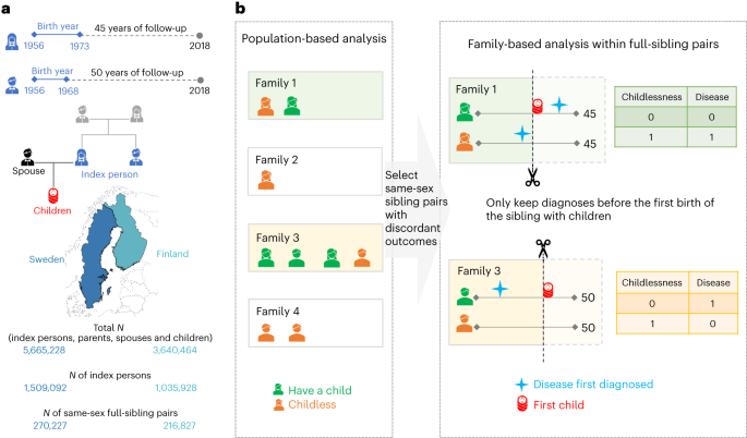 Featured image for The Link Between Early-Life Diseases and Lifetime Childlessness: Insights from Finland and Sweden
