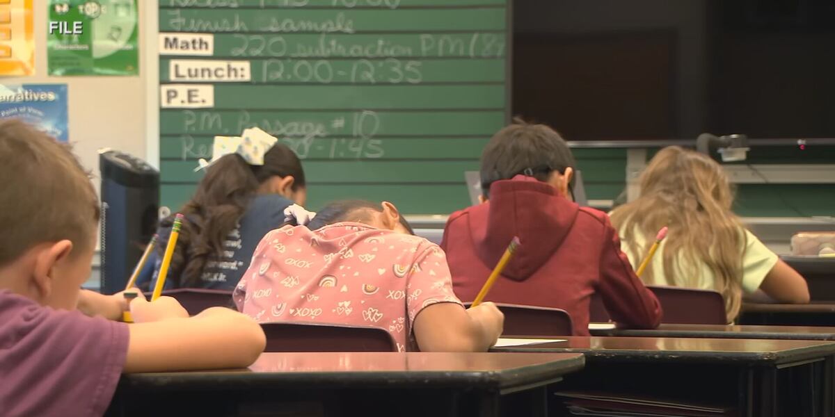 Tennessee's School Letter Grades: A Mixed Bag for Memphis-Shelby County Schools