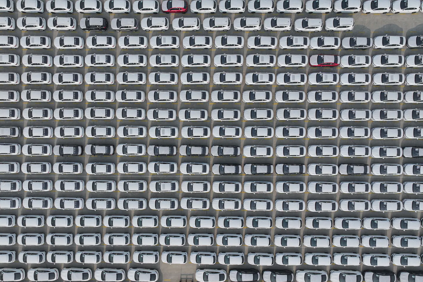 China Prepares Strategic Defense for Potential Trump Trade War 2.0