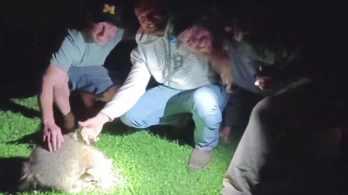 Michigan Men Go Viral for Saving Choking Raccoon