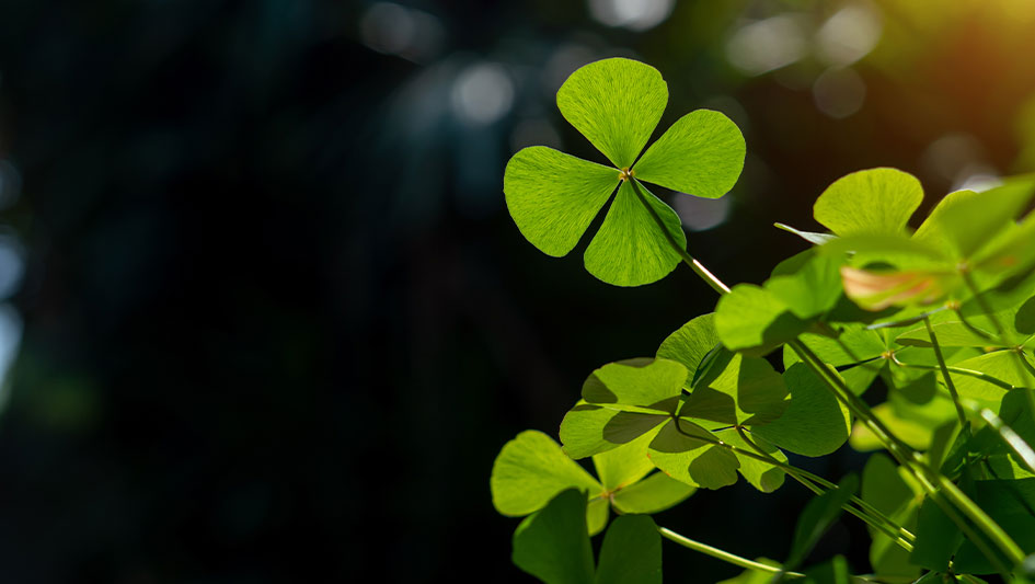 Stocks fluctuate as market reacts to mixed news and events.