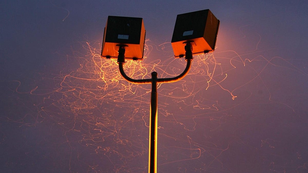 "The Truth About Insects and Artificial Lights: Debunking Myths and Revealing Confusion"