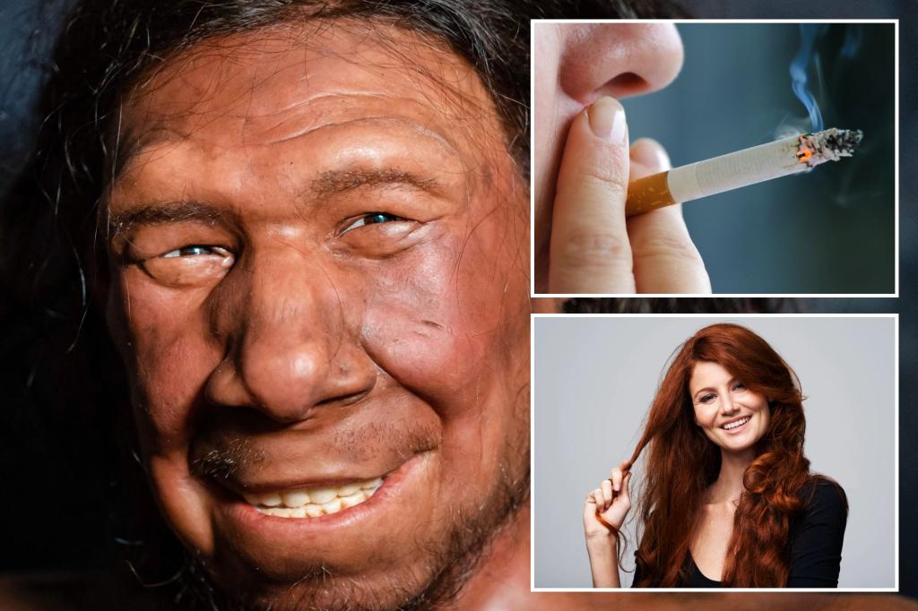 Featured image for "Uncovering Neanderthal Legacy: 6 Surprising Traits Linked to Modern Humans"