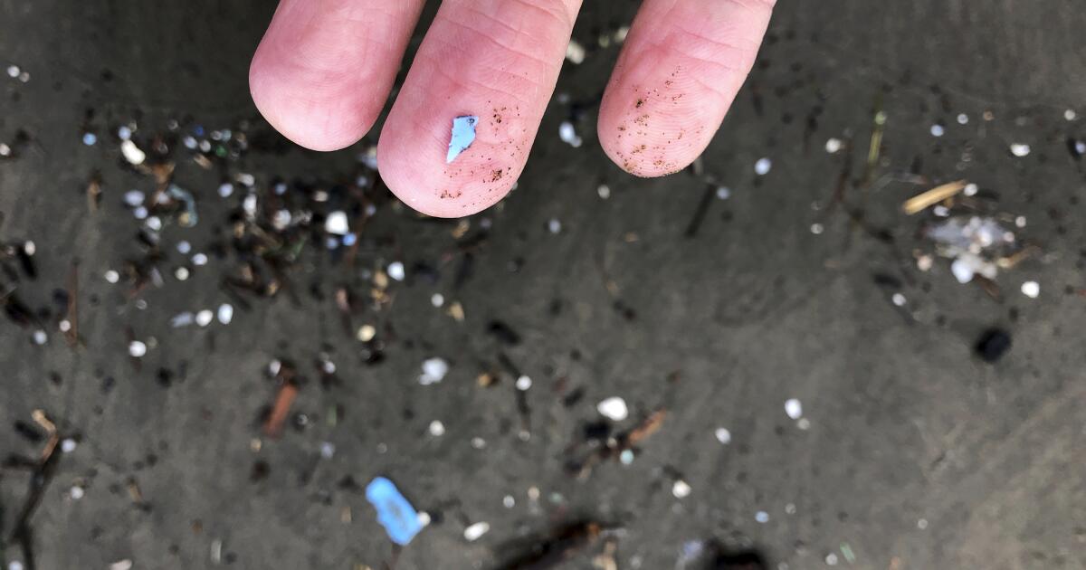 "Microplastics in Arteries Linked to Higher Heart Disease Risk, Study Finds"