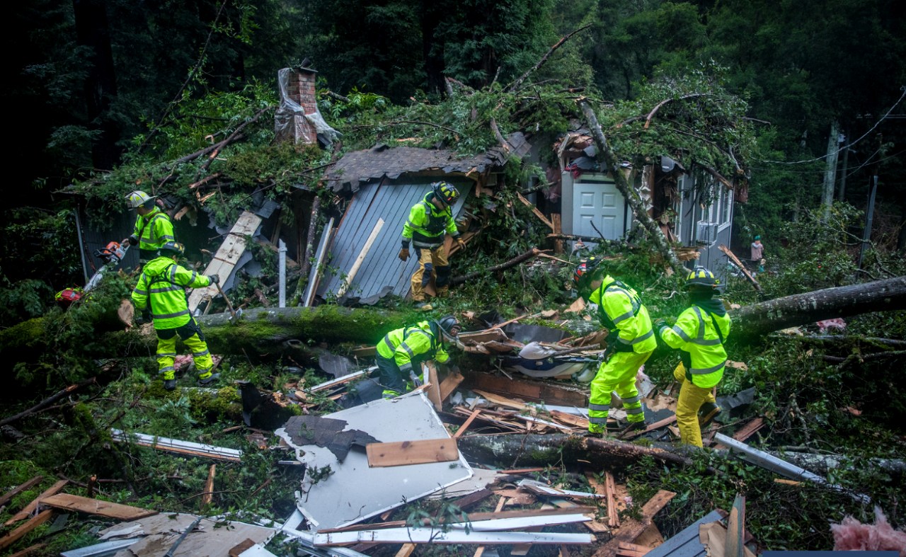 Fatal Tree Accident Claims Life in Boulder Creek Home