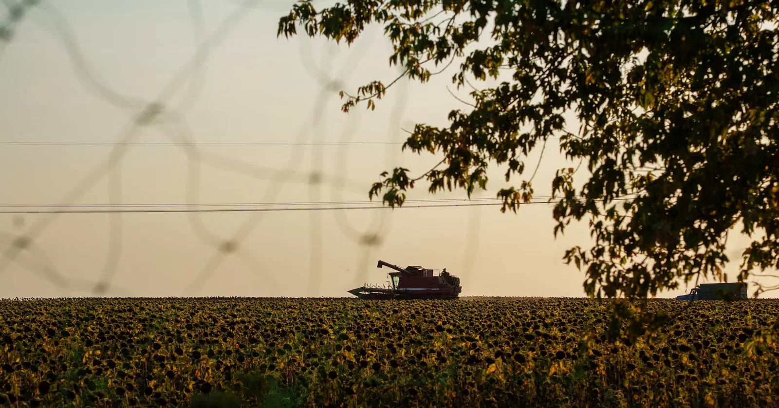 Featured image for Zelensky Reports Ukrainian Gains and Warns of Russian Offensives