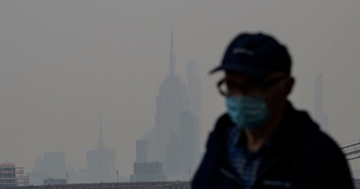 The Causes Behind Canada's East Coast Wildfires.