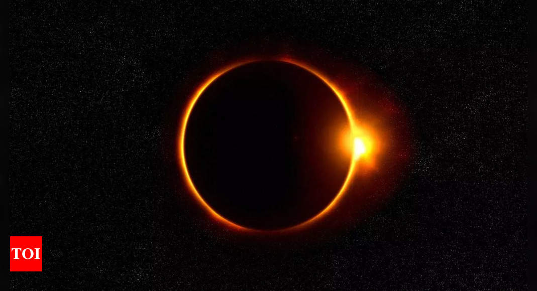 "2024 Solar Eclipse: Your Complete Guide to Viewing and Safety"