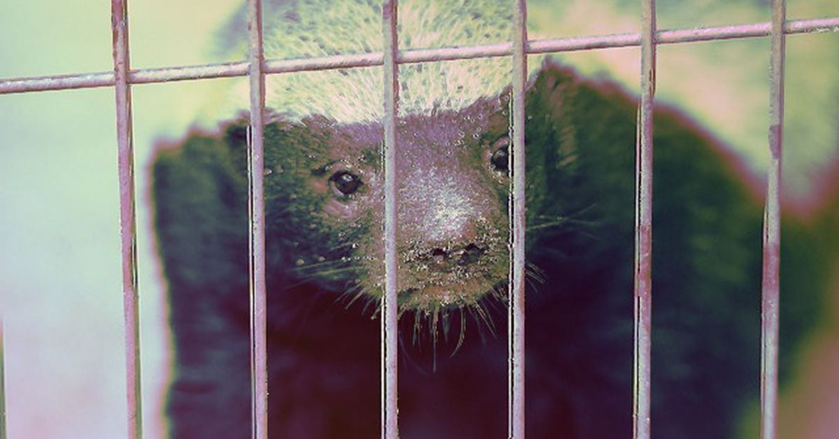 Featured image for BlackRock's Bitcoin ETF Filing Sparks Debate Among Crypto Experts.