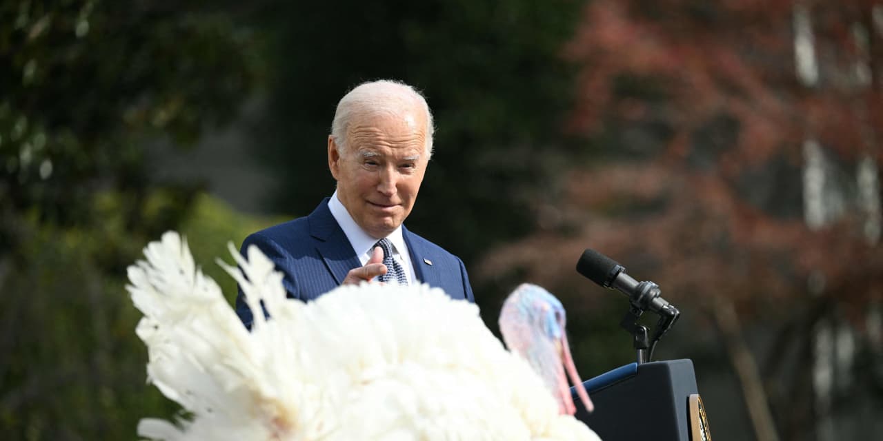 Featured image for 12% Calorie Reduction: The Key to Slowing Aging and Boosting Health