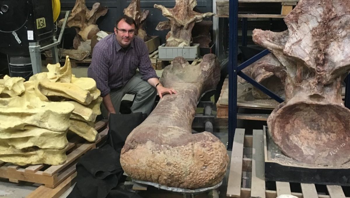 Featured image for "Dinosaur Lifespan: Unraveling the Mystery of Extinct Giants"