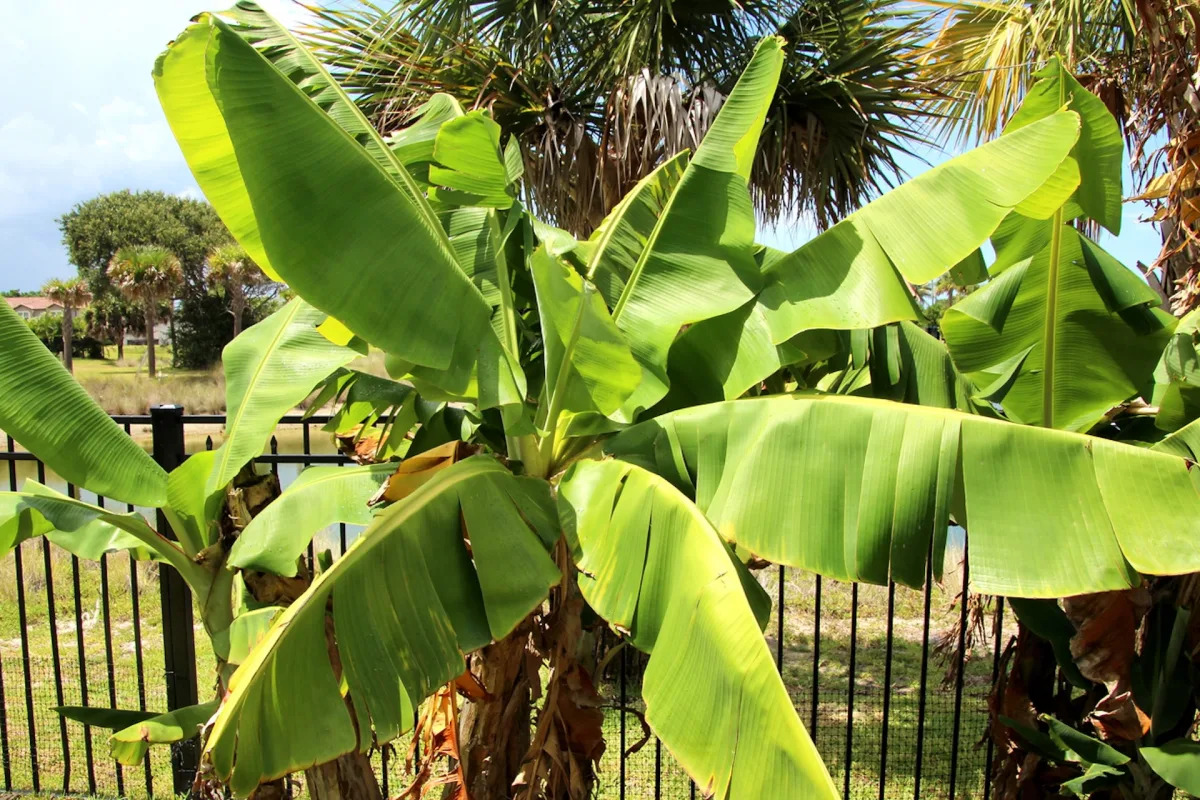 Featured image for Neighbor's Property Destruction Leaves Homeowner in Shock: Police Report Filed for Trespassing and Vandalism