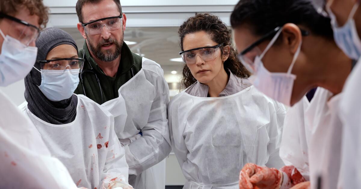 Featured image for 'The Pitt' Season 2 Explores AI, Healthcare Costs, and Medical Realities