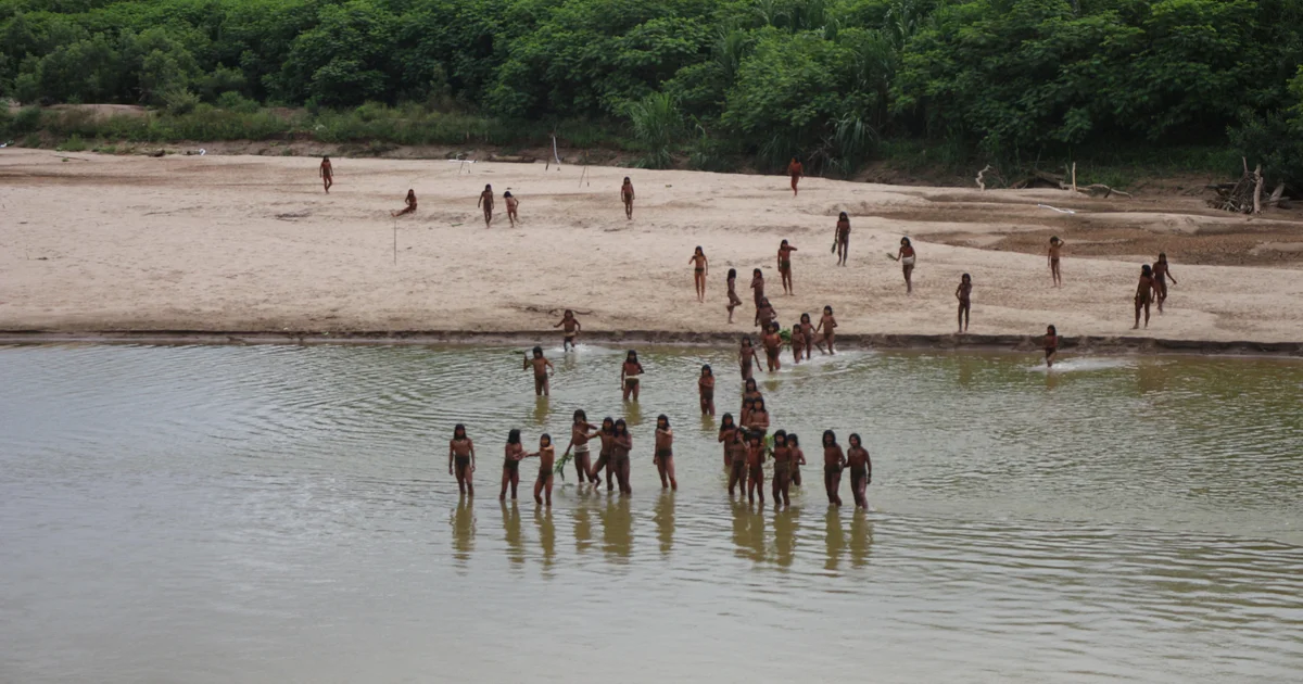 Featured image for Urgent Threats to Uncontacted Indigenous Tribes and Their Future
