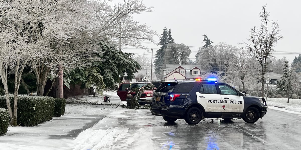 "Tragic Accident: High School Student Among 3 Killed by Fallen Power Line in Portland"